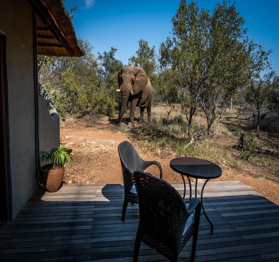 Вилла Garonga Safari Makalali Game Reserve Экстерьер фото