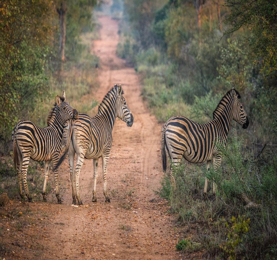 Вилла Garonga Safari Makalali Game Reserve Экстерьер фото